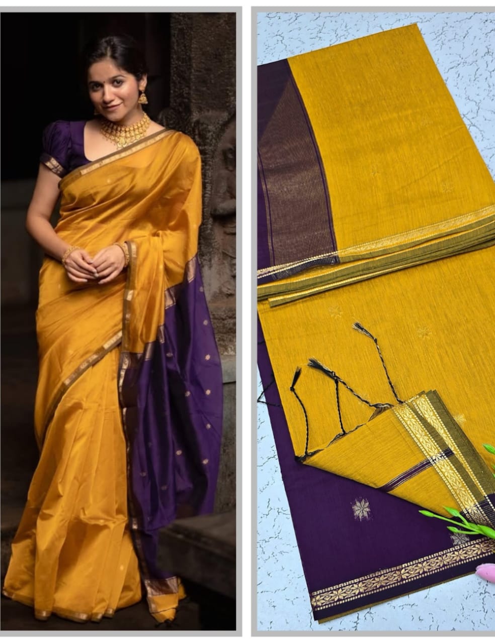 RICH MUSTARD GOLD WITH DEEP PURPLE MAHESWARI COTTON SAREE