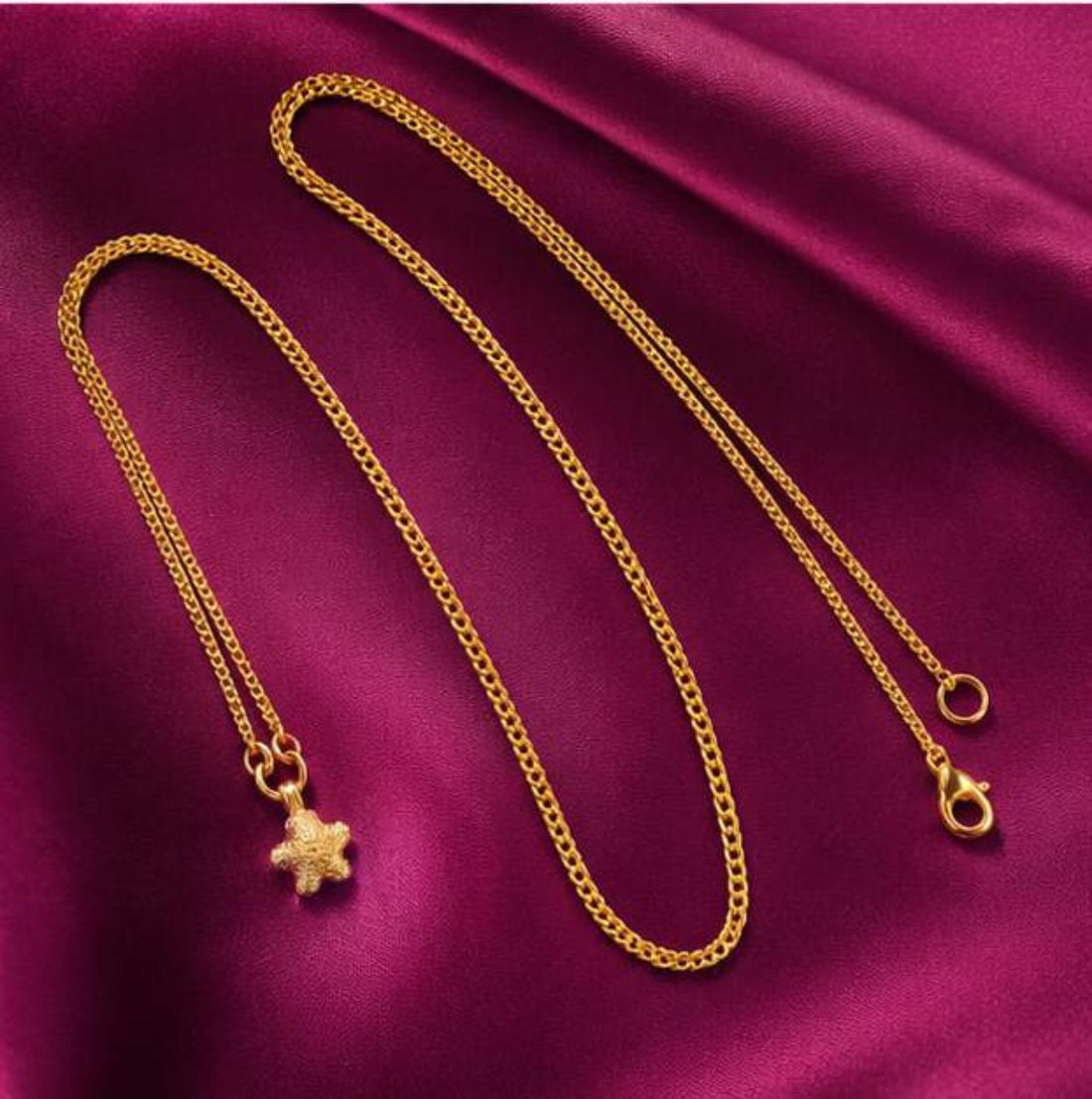 IMPON CHAIN WITH DOLLAR