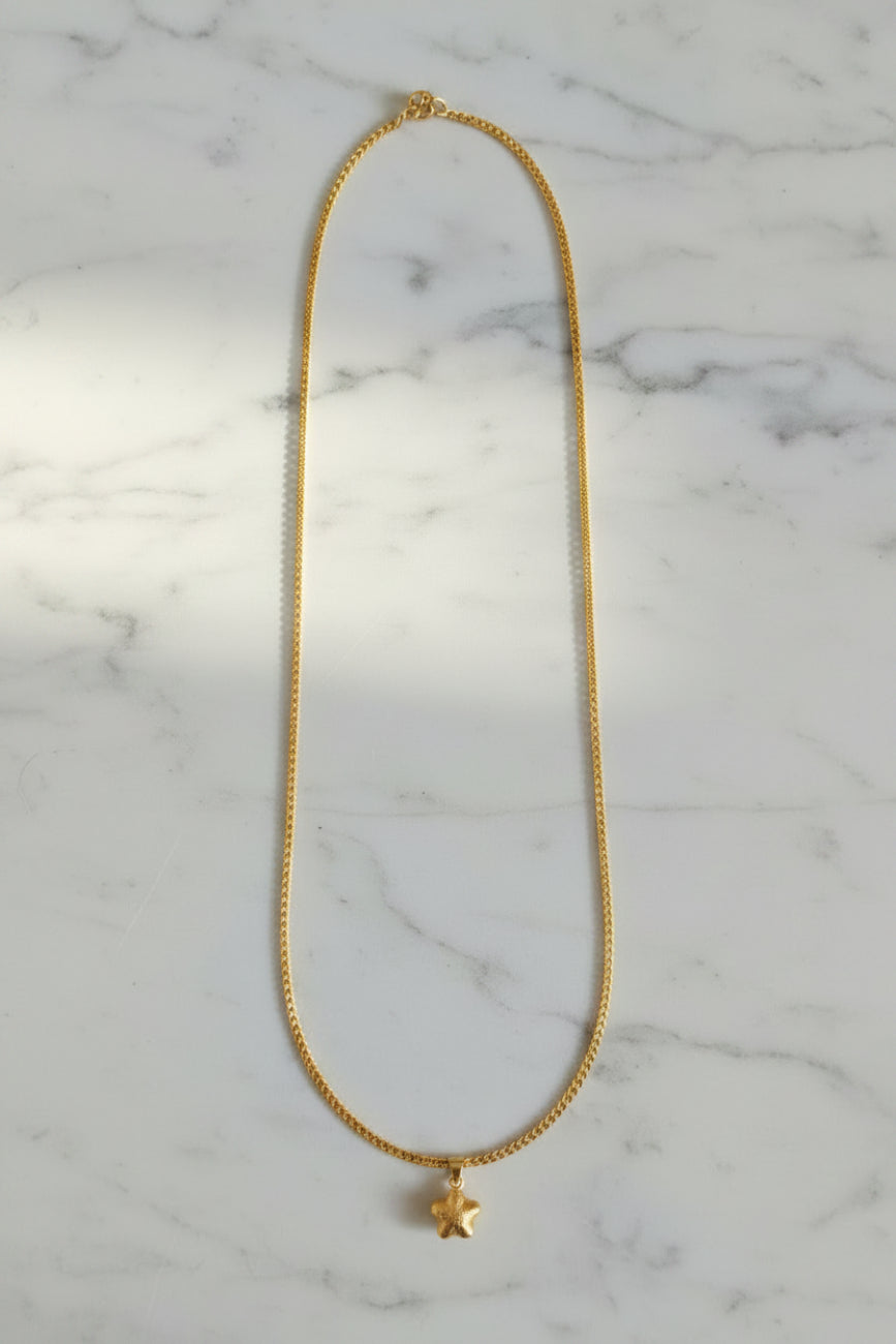 IMPON CHAIN WITH DOLLAR