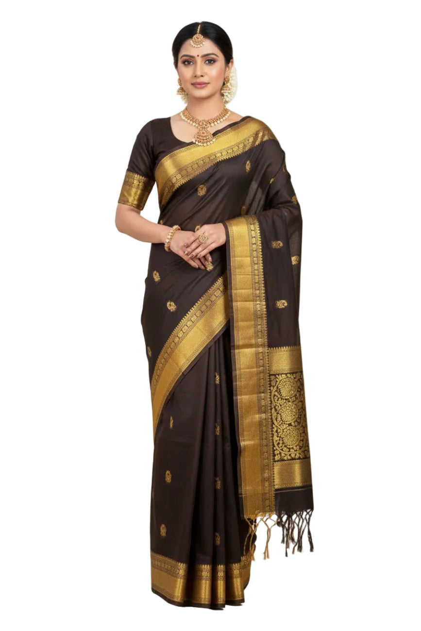 COFFEE BROWN GOLD BIG BORDER MAHESHWARI COTTON SAREE