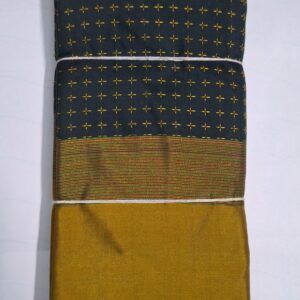 Aarani plus saree