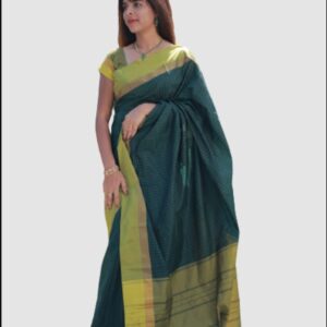 Aarani plus silk saree