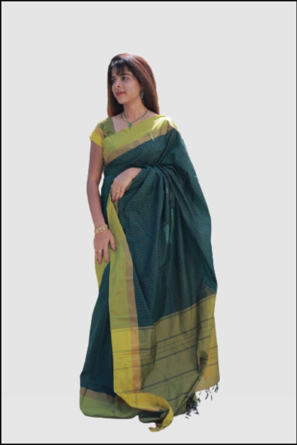 Aarani plus silk saree